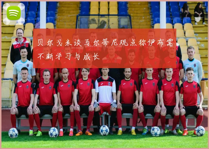 贝尔戈米谈马尔蒂尼观点称伊布需不断学习与成长